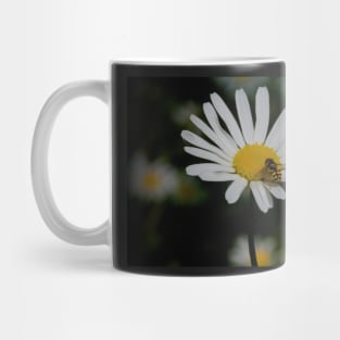 OX EYE Mug